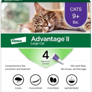 advantage ii large cat vet recommended flea treatment & prevention | cats over 9 lbs. | 4 month supply